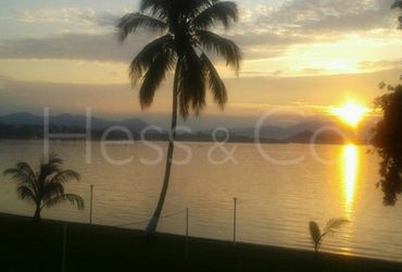 Image Gallery