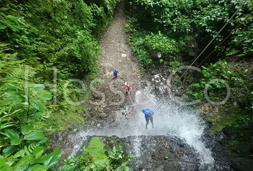 Image Gallery