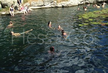 Image Gallery