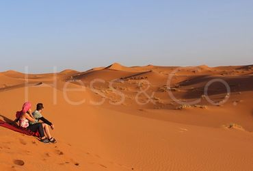 Image Gallery