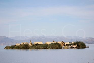 Image Gallery
